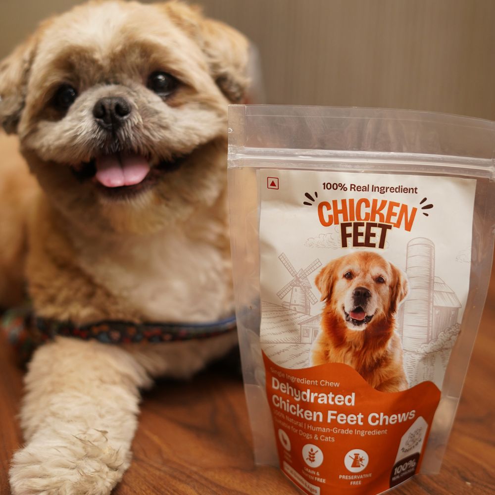 FloofYou Air Dried Chicken Feet Grain Free Chew Dog Treats image 5