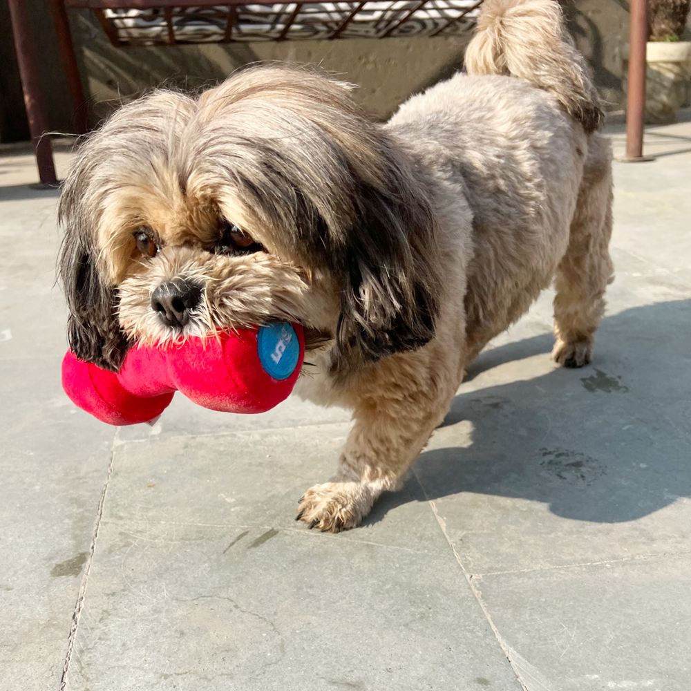 Goofy Tails Gym Series Dumbbell Plush Toy for Dogs (Red) image 5