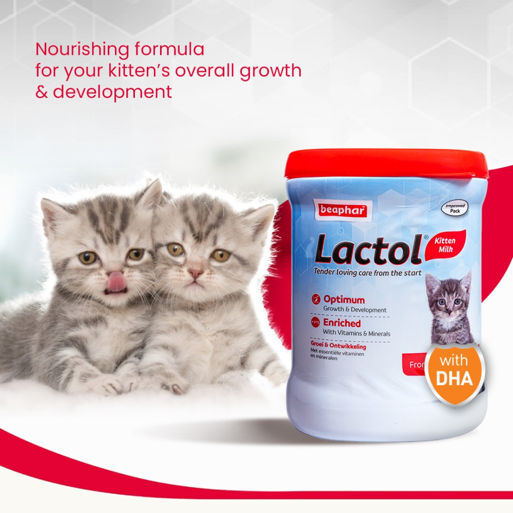 Beaphar Lactol Milk Replacement Powder for Kitten image 3