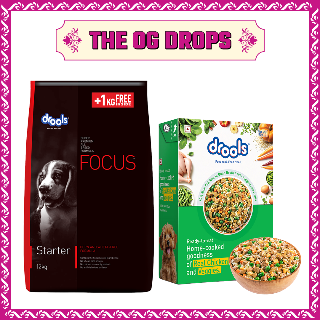 Drools Focus Super Premium Starter Dog Dry Food | Corn & Wheat Free Formula image 3