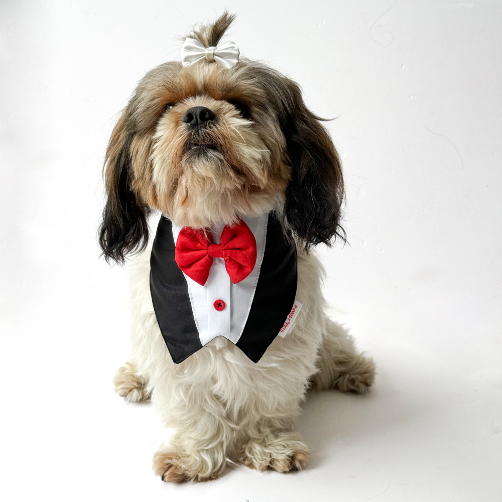 Pawgypets Formal Tux Bandana for Dogs and Cats (Black) image 2
