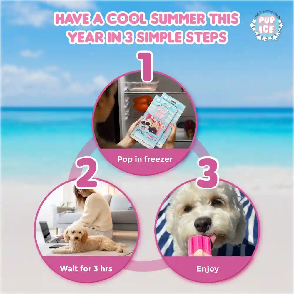 Pup Ice Strawberry and Blueberry Flavoured Rocket Lollies Dog Treat image 6