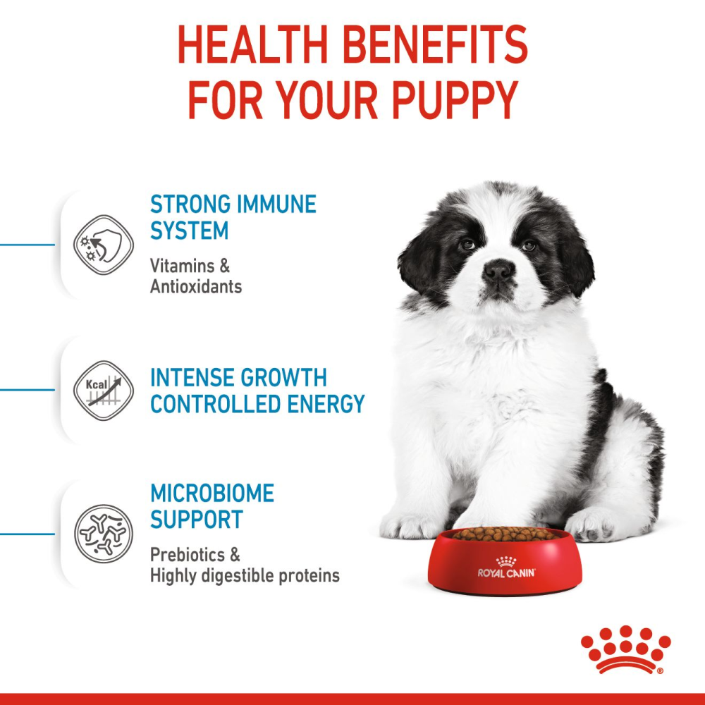 Royal Canin Giant Puppy Dog Dry Food image 5