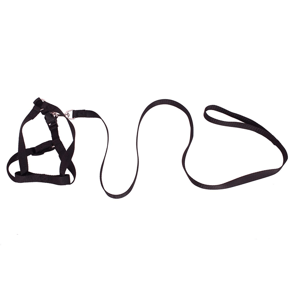 Emily Pets Leash And Harness Set for Dogs and Cats (Black) image 2