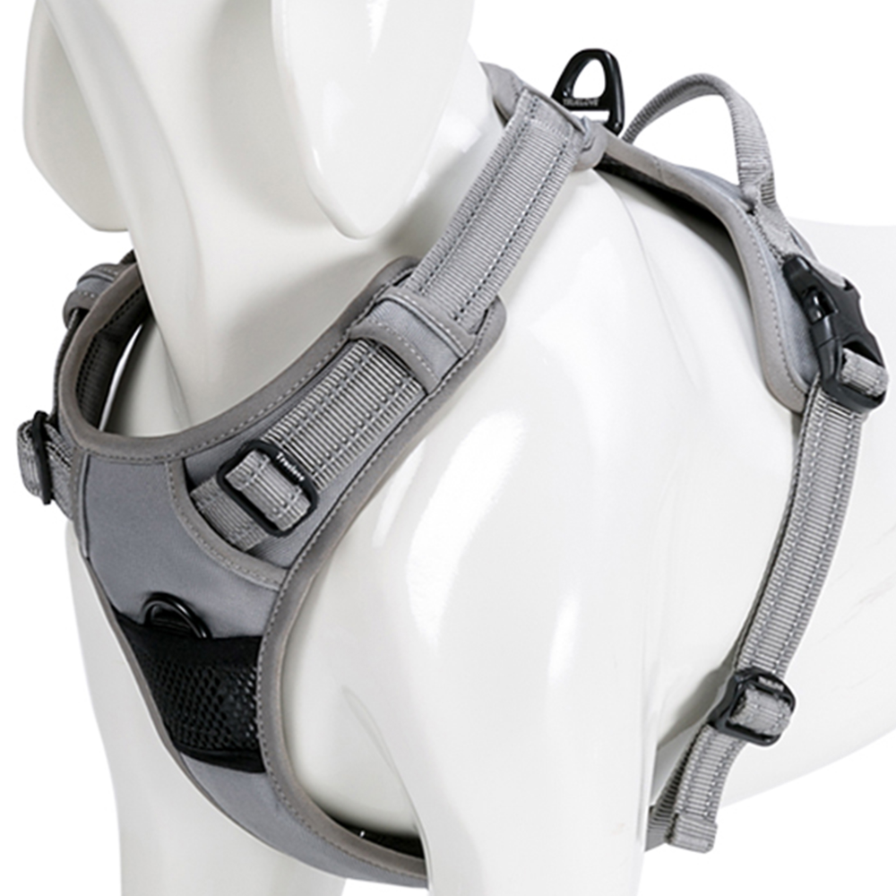 Truelove Classic Harness and Padded Collar for Dogs (Grey) - L image 4