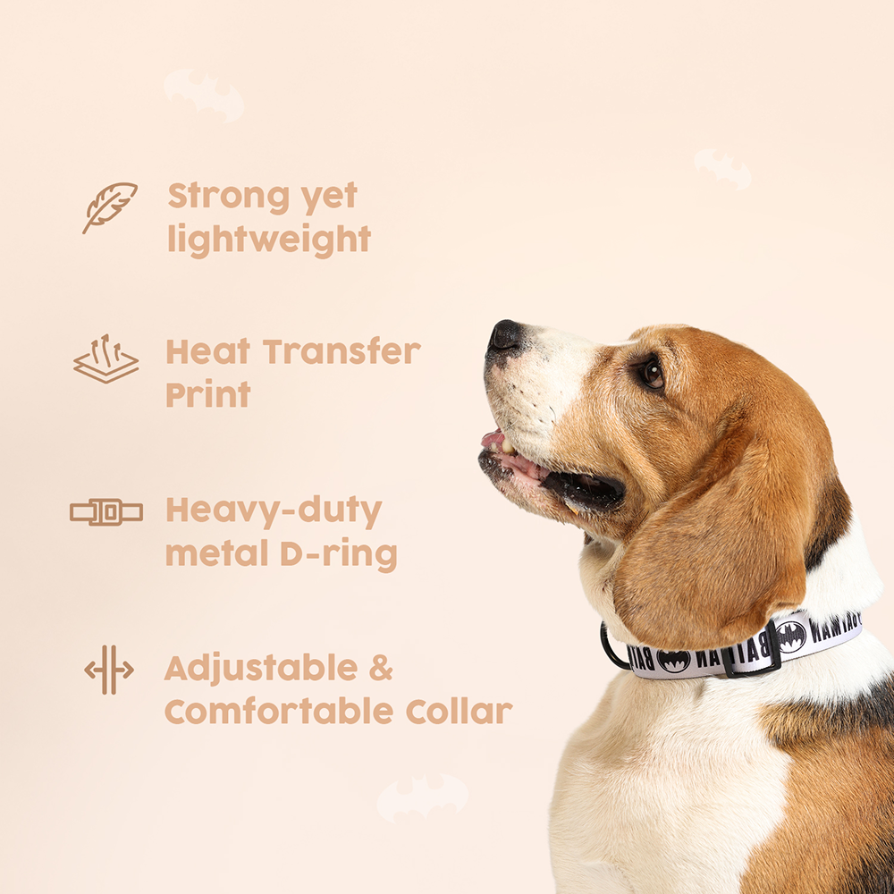 Warner Bros Batman Collar for Dogs and Cats image 3