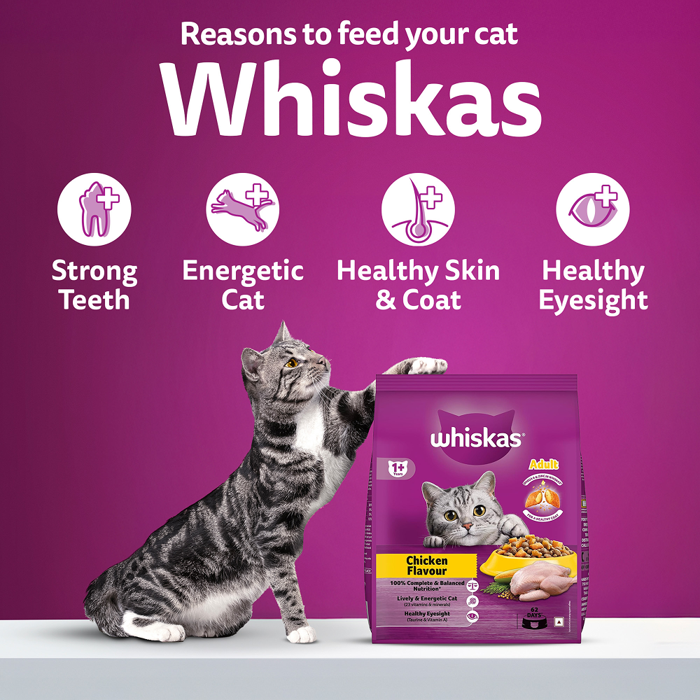 Whiskas Chicken Flavour Cat (Adult 1+) Dry Food image 6
