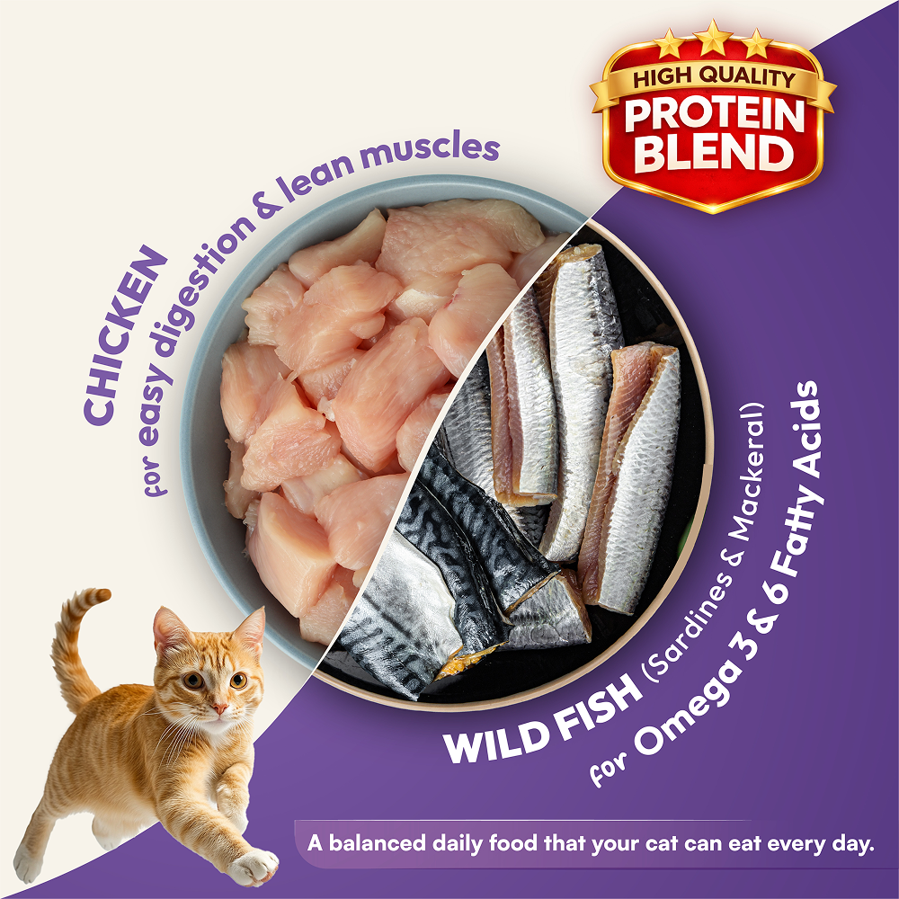 DatGud Chicken & Wild Fish Adult Cat Dry Food image 7