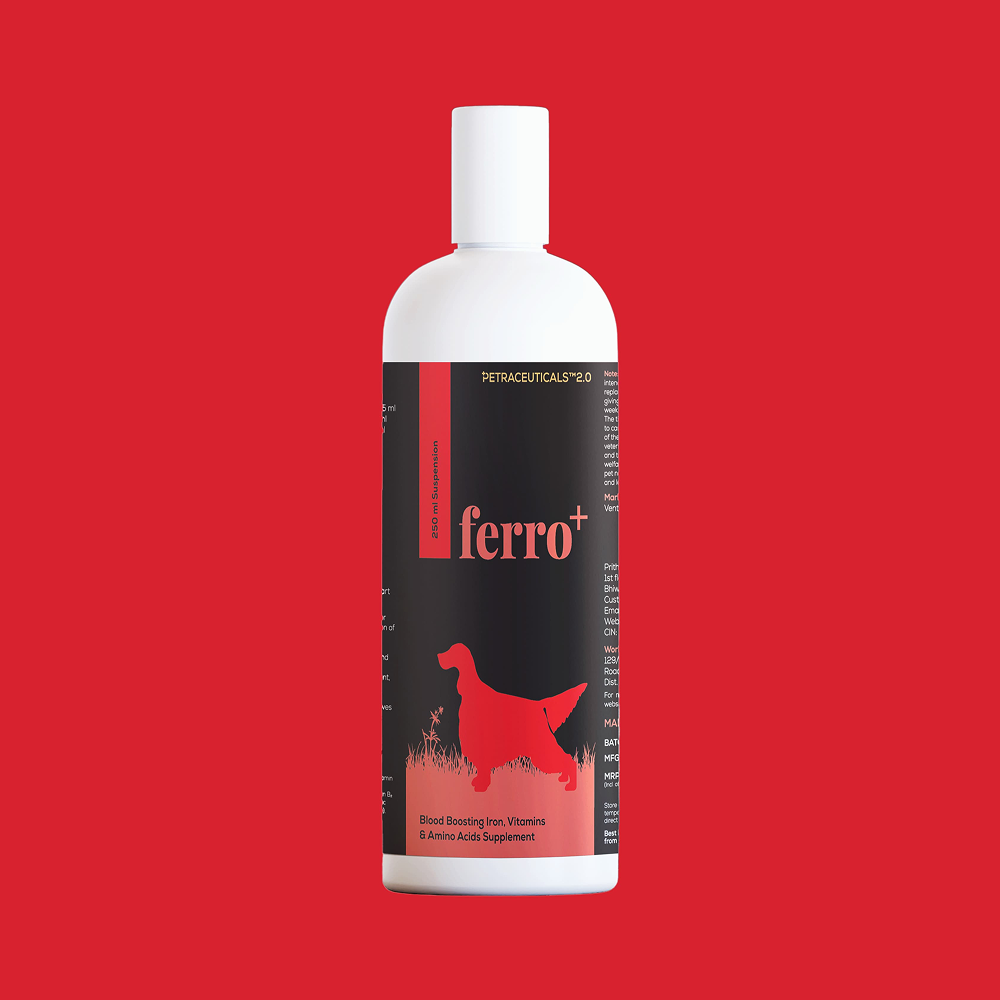Venttura Ferro Plus Iron Supplements Syrup for Dogs image 8