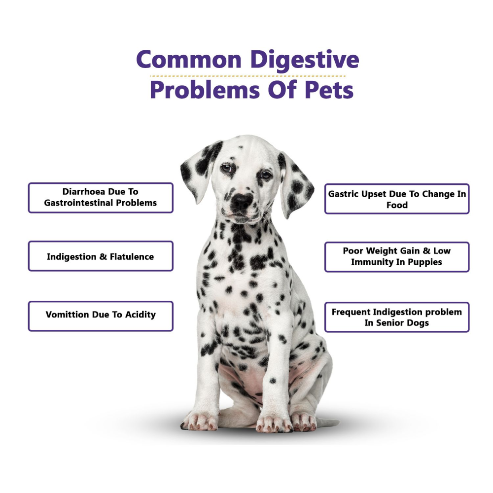 Petvit Pre & Probiotics Gut Health Powder for Dogs and Cats image 5