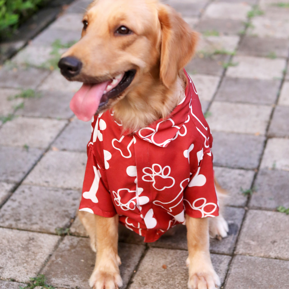15buttons Paws-tive Love Shirt for Dogs image 2