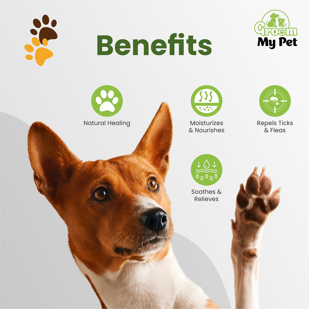 Groom My Pet Paw Butter for Dogs and Cats image 2