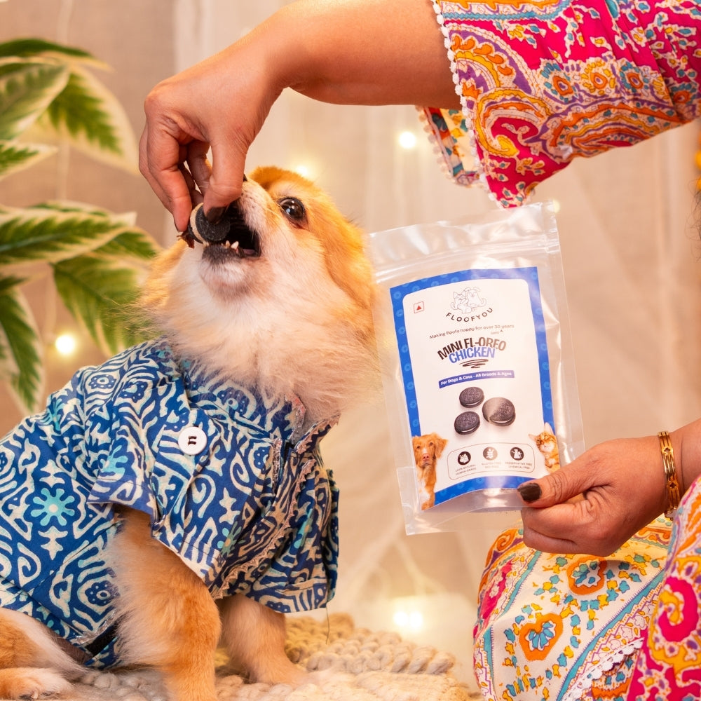 Floofyou Mini Floofio Chicken Oven Baked Cookie Dog Treats image 5