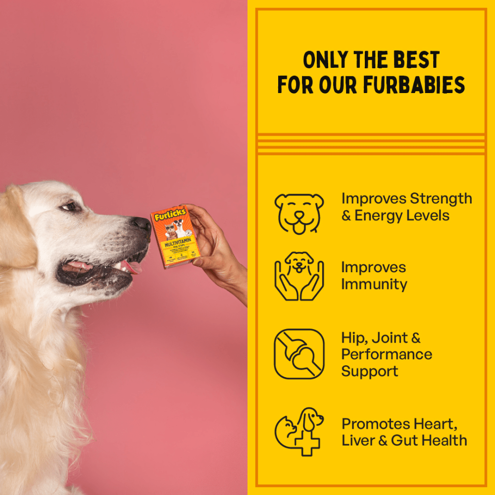 Furlicks Multivitamin for Cats and Dogs image 4