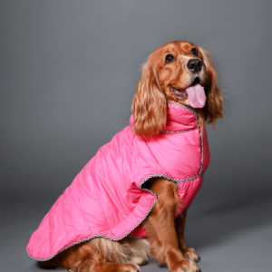 Pet Set Go Wind Sheeter Jackets for Dogs (Pink)