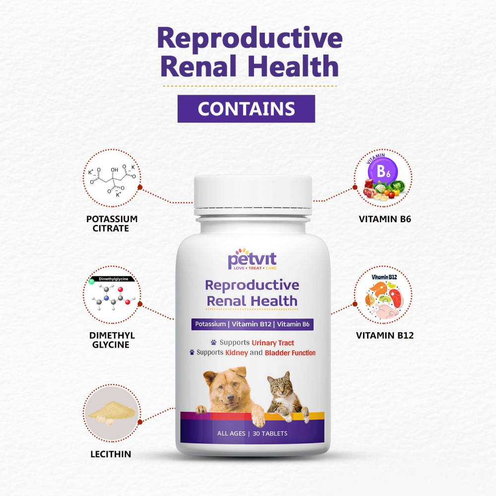 Petvit Reproductive Renal Health Tablet for Dogs and Cats image 6