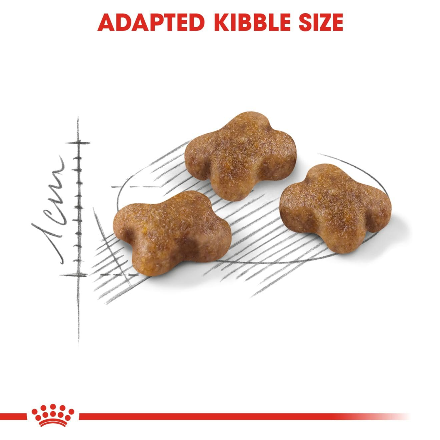 Royal Canin Kitten Dry Cat Food image 4