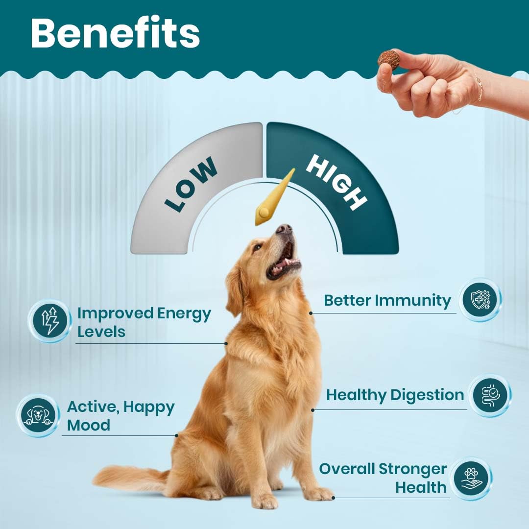 TailsAlive Chicken Flavour Multivitamin Soft Chews Supplement for Dogs image 6