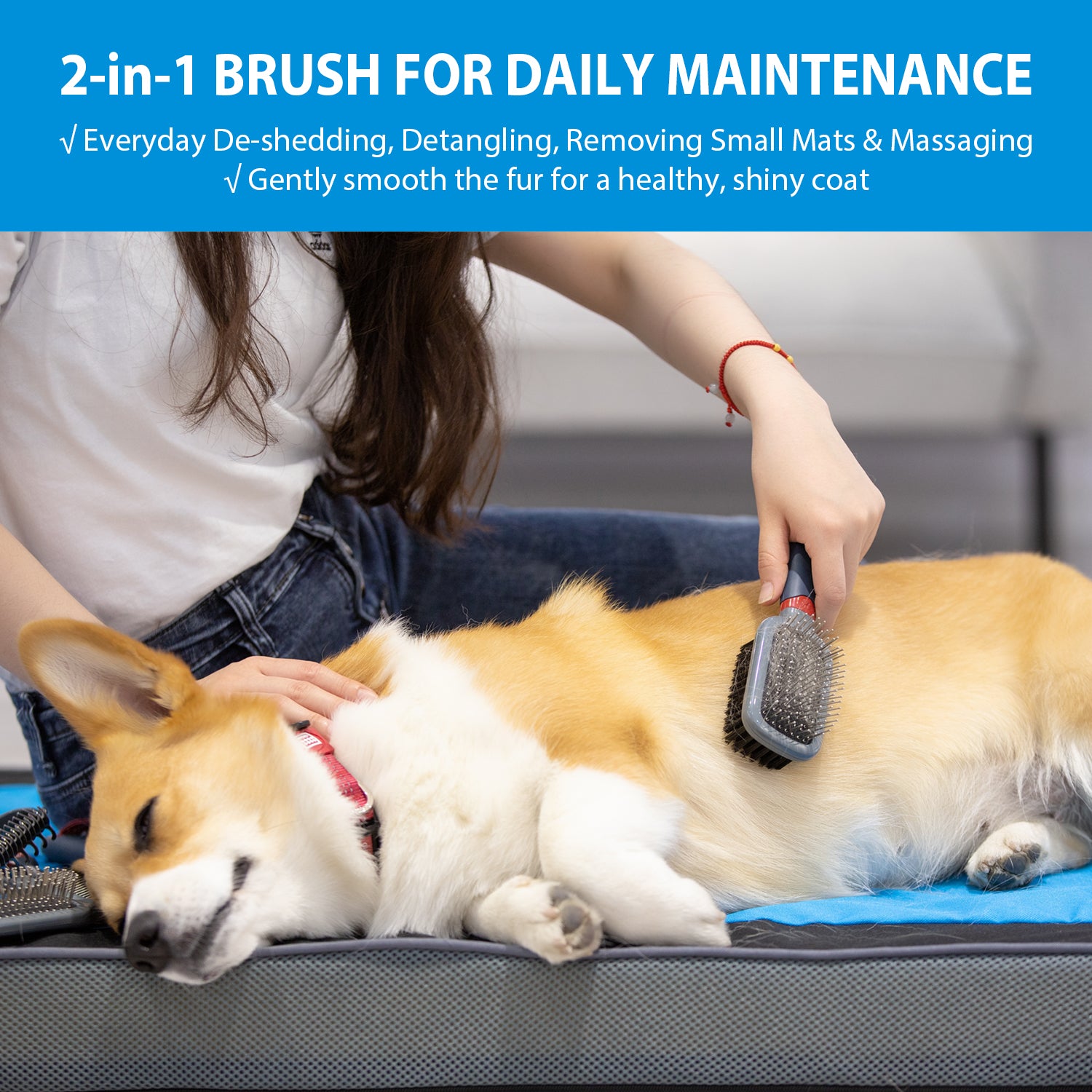 GiGwi Double Sided Brush with Bristles and Pins for Dogs and Cats (Black) image 3