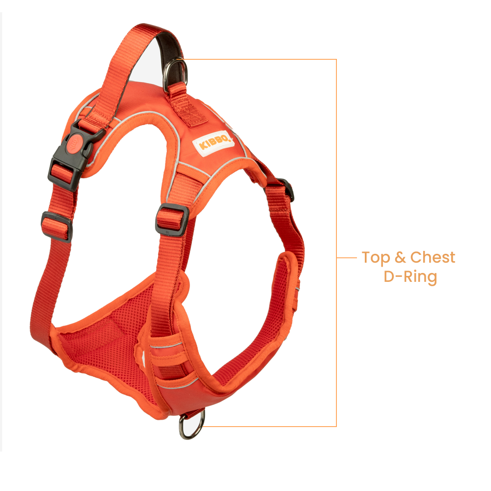 Kibbo Reflective Vest Harness with Dual Lock Buckle for Dogs (Red) image 4