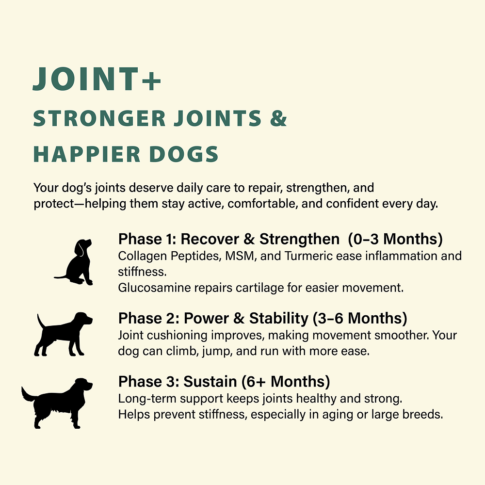 Bruno's Wild Essentials Joint+ Hip & Joint Care Supplement for Dogs image 2
