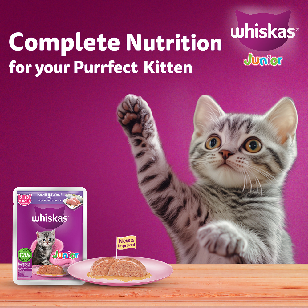 Whiskas Junior Mackerel Flavour Kitten (2-12 months) Cat Wet Food image 9