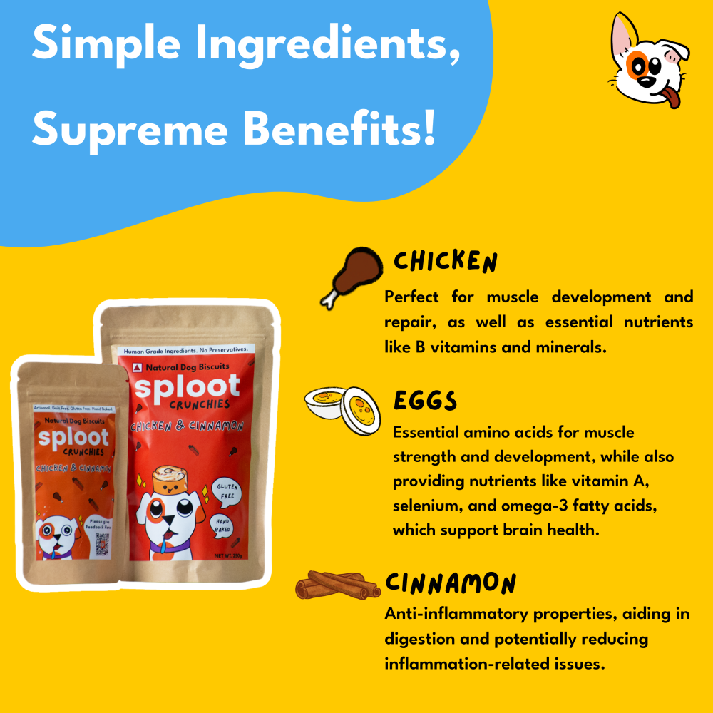 Sploot Crunchies Chicken and Cinnamon 100% Human Grade Biscuits Dog Treats image 2