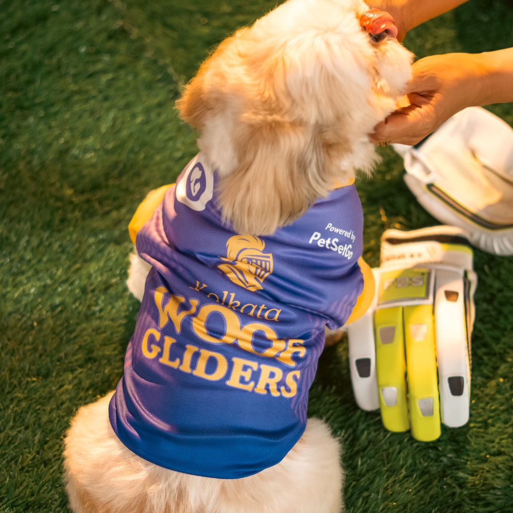 Pet Set Go Kolkata Woof Gliders IPL Jersey for Dogs (Purple) | Indian Pet League