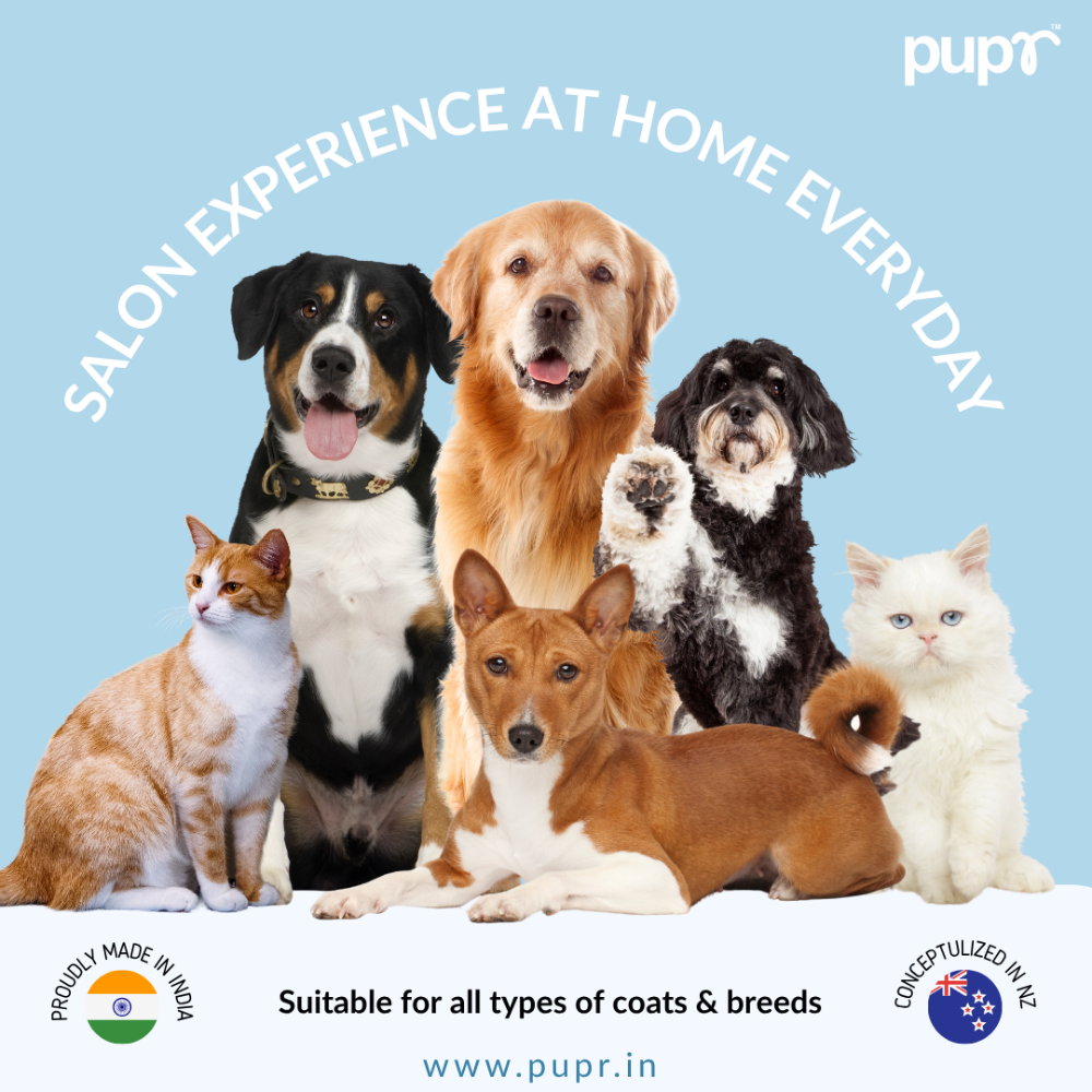 Pupr Deep Cleansing Strawberry Flavoured Shampoo for Dogs image 9