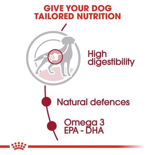 Royal Canin Medium Adult Dog Wet Food image 4
