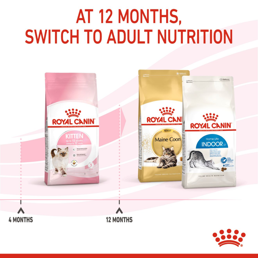 Royal Canin Kitten Cat Dry Food image 8