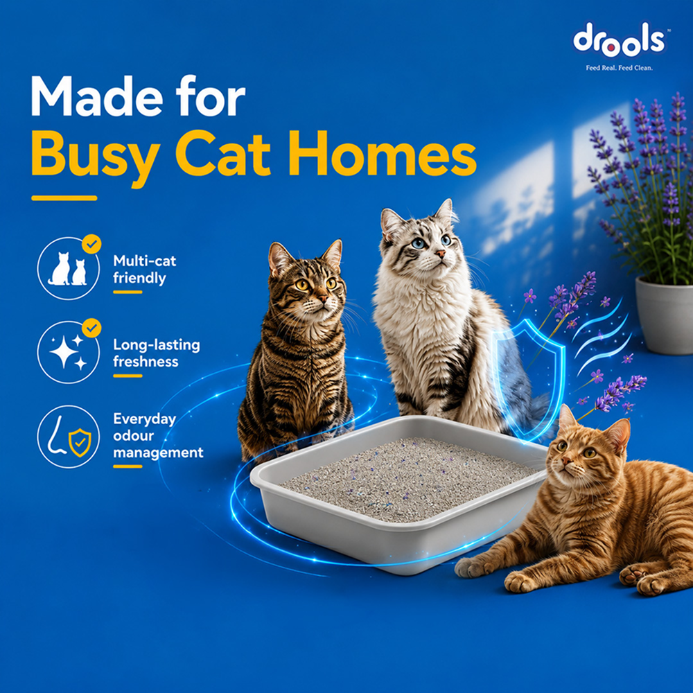 Drools Lavender Scented Clumping Cat Litter image 10
