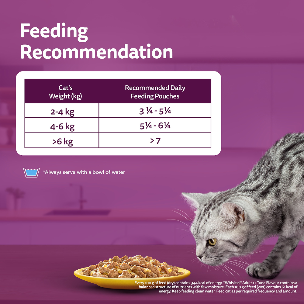 Whiskas Tuna in Jelly, Chicken and Salmon in Gravy Meal Adult Cat Wet Food image 6