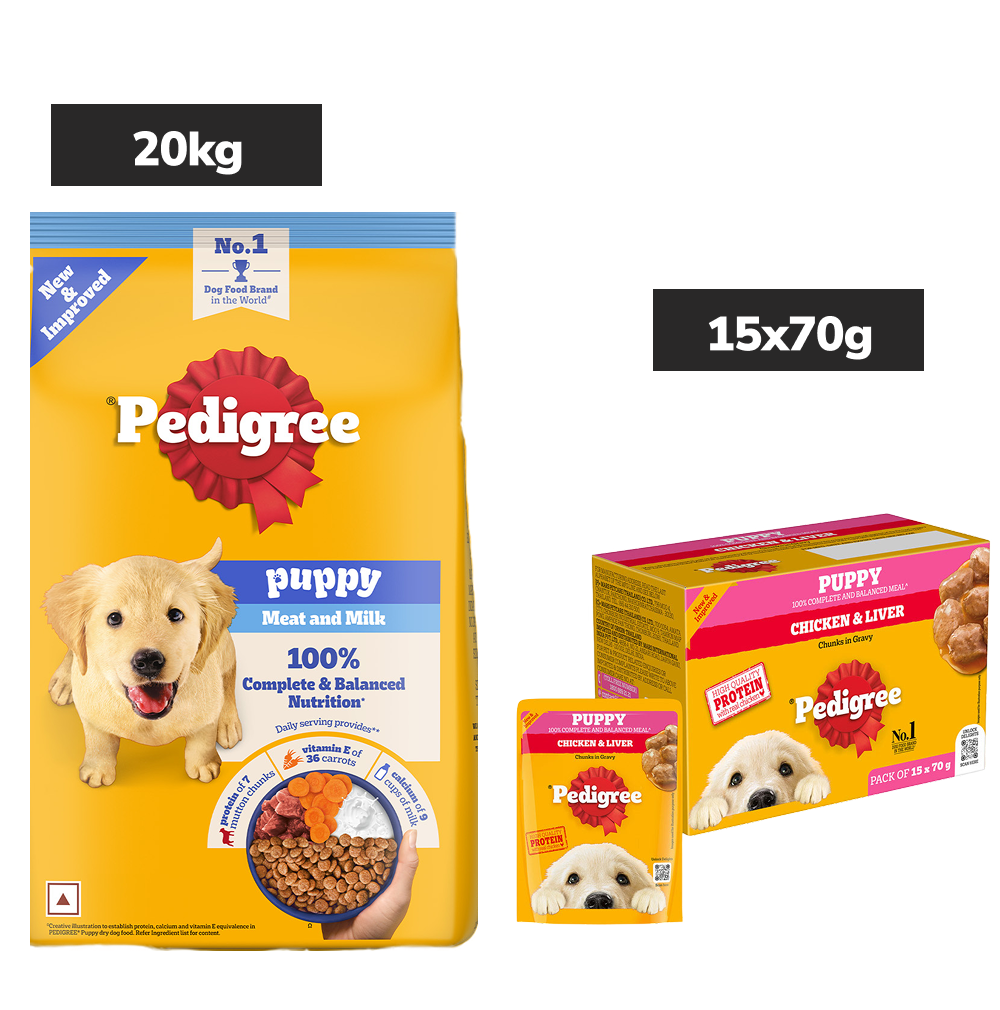 Pedigree Puppy Dog Food Combo |Meat & Milk Dry & Chicken & Liver Wet image 1