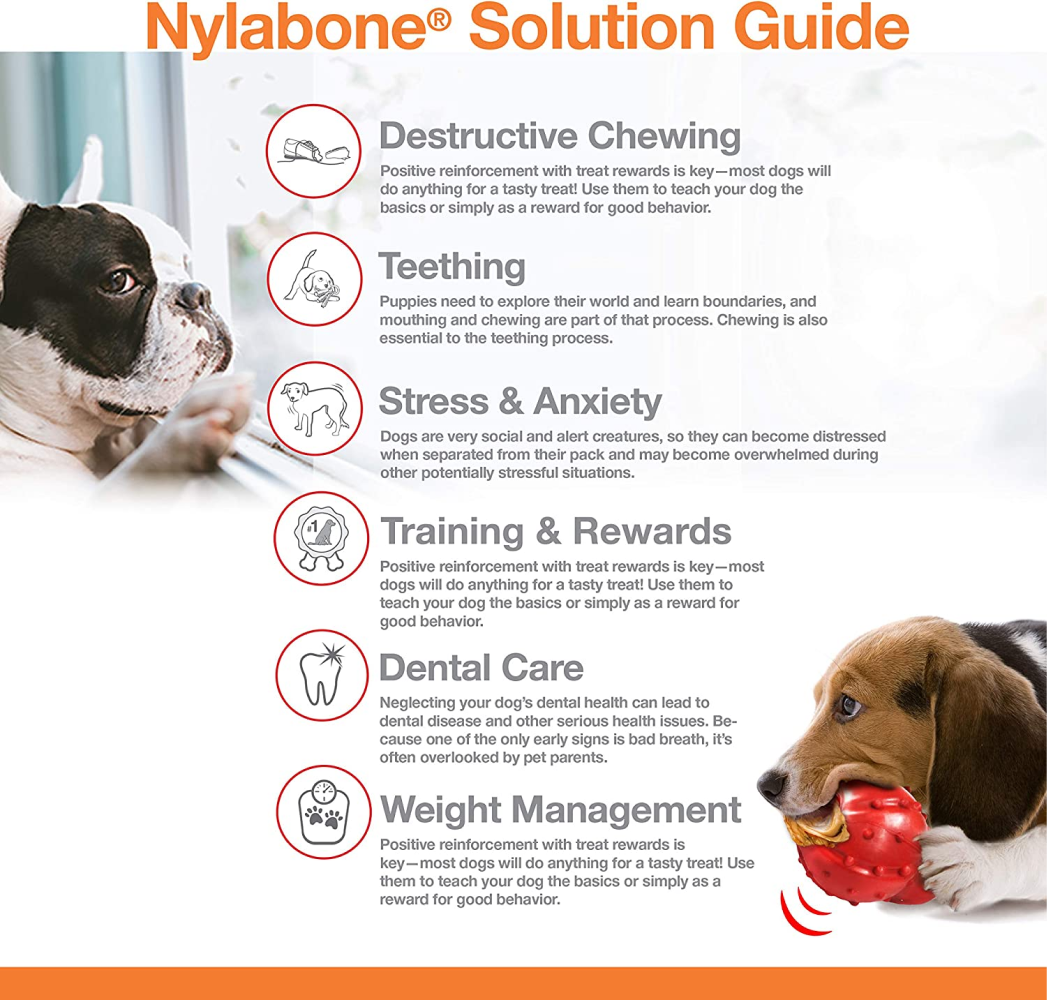 Nylabone Medley Flavoured Textured Power Chew Bone Toy for Dogs (Brown) image 6