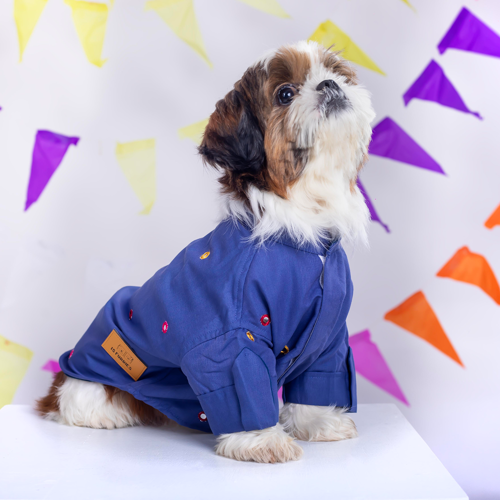 15 Furries Mirrorwork Kurta for Dogs (Persian Blue) image 7