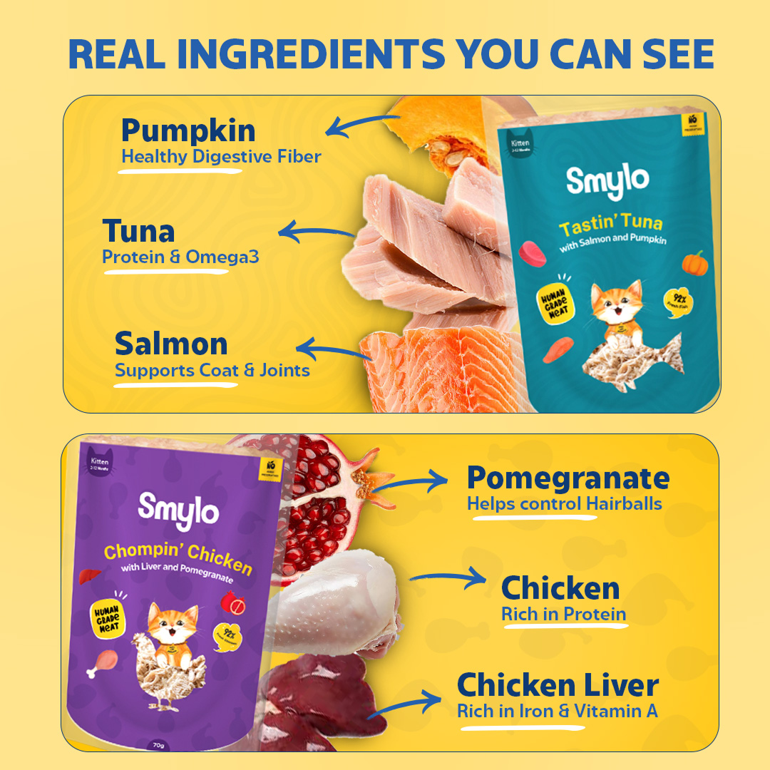 Smylo Kitten Trial Box, Tuna & Chicken, Fresh & No-Preservative Wet Cat Food image 5