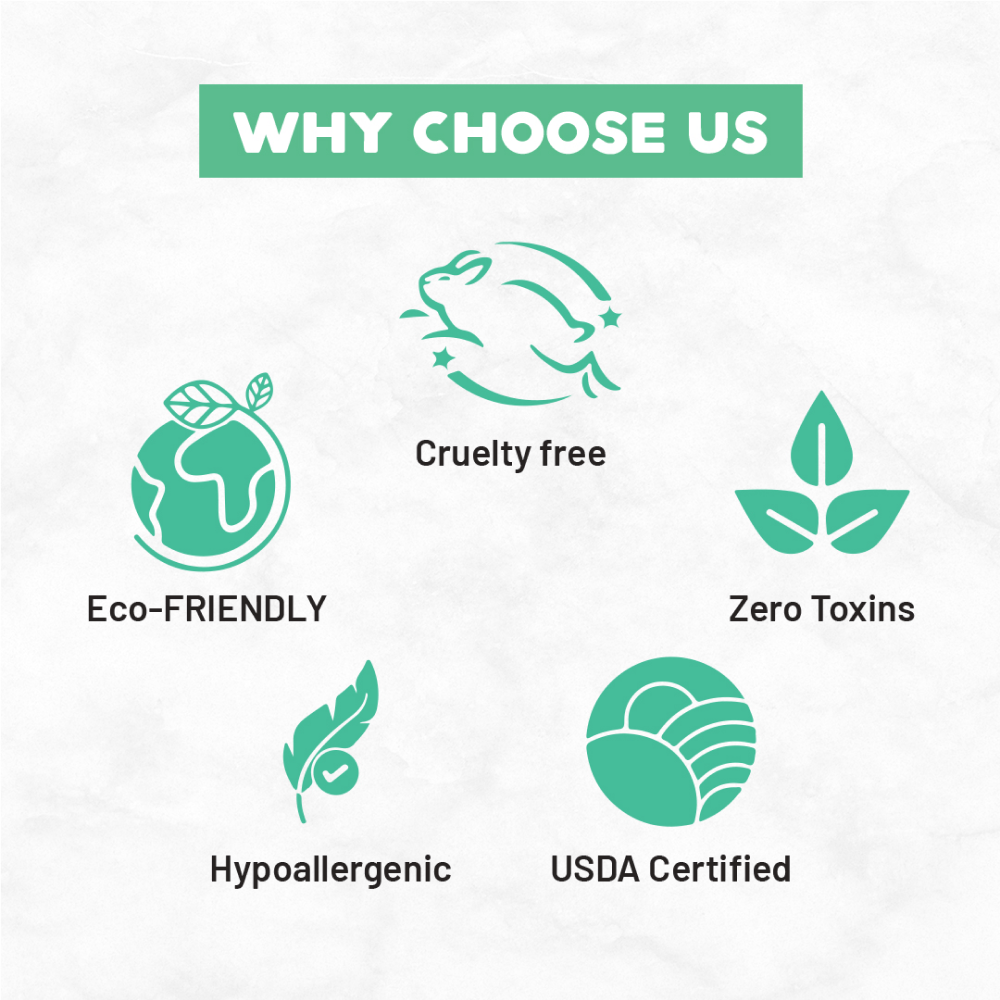 Born Good Plant Based Biodegradable and Non Toxic Air freshener Spray for Home and Office image 4