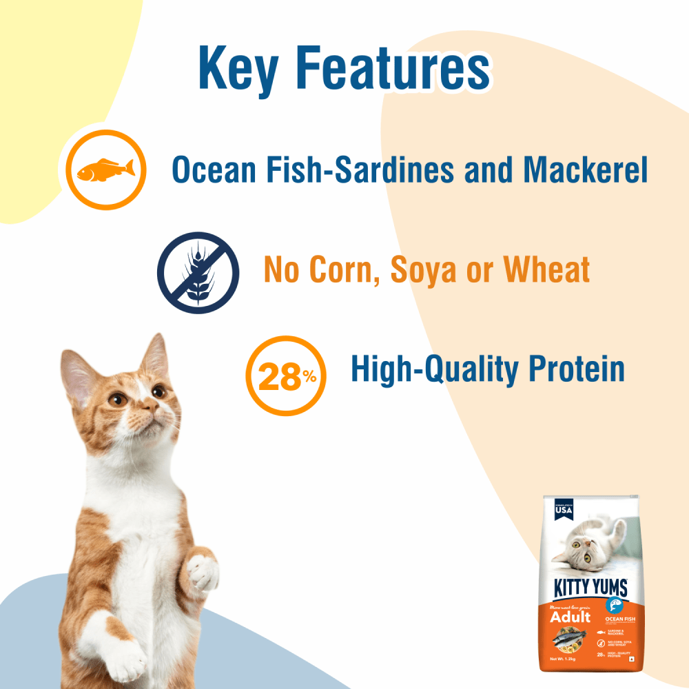 Kitty Yums Ocean Fish Adult (1+ years) Cat Dry Food image 2