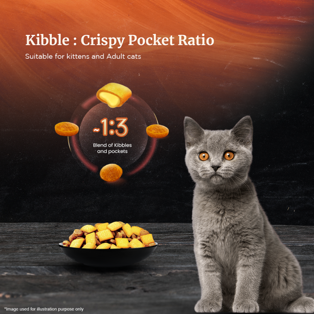 Sheba Skipjack & Salmon Fish Mix Cat Wet Food and Chicken Flavour Irresistible All Life Stage Cat Dry Food Combo image 10