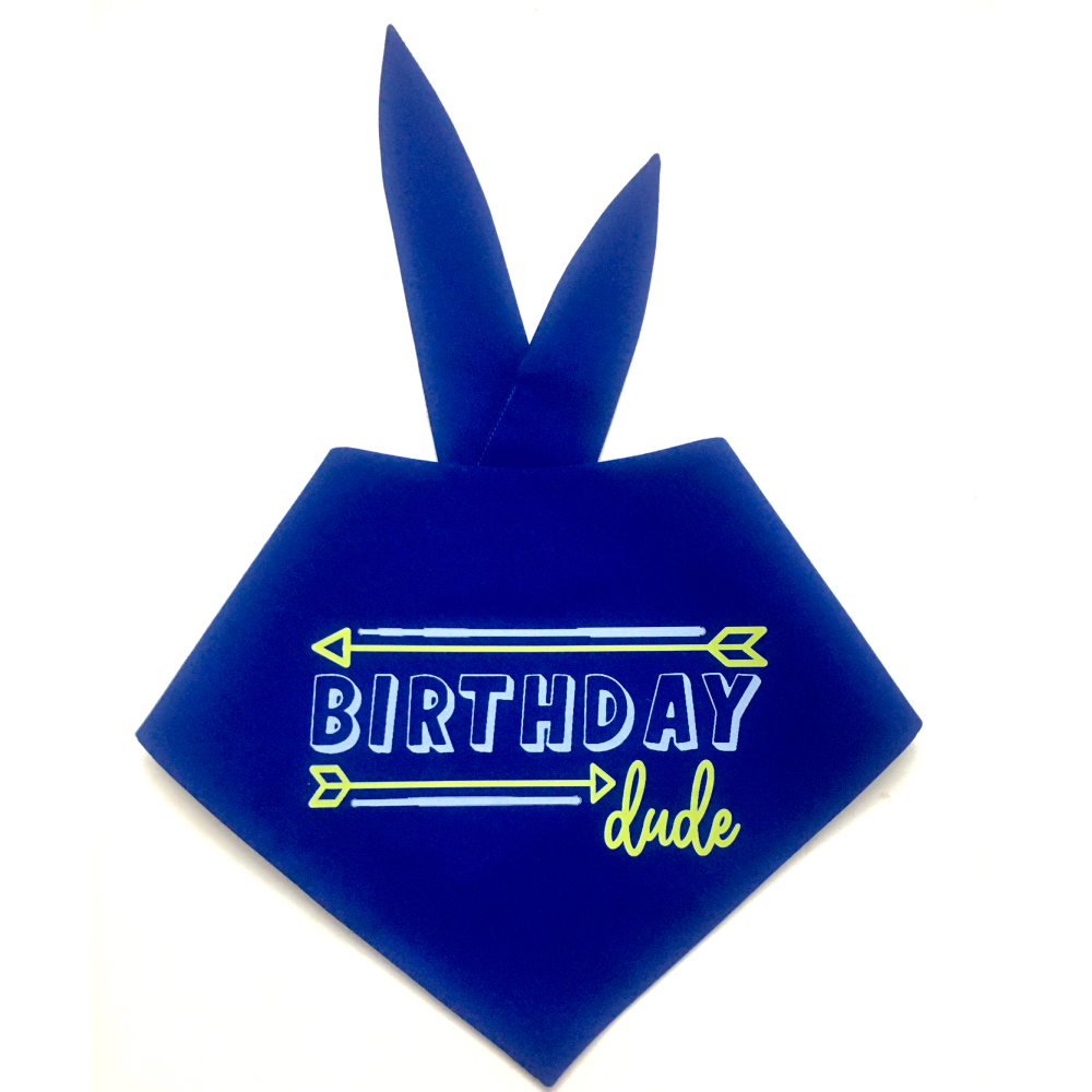 Dogobow Birthday Dude Scarf for Dogs (Royal Blue) (Get a Bow Free) image 4