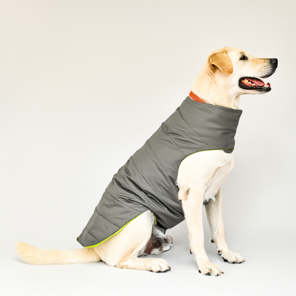 Skatrs Smokey Grey Puffer Reversible Jacket for Dogs and Cats | With Adjustable Baby Velcro image 2