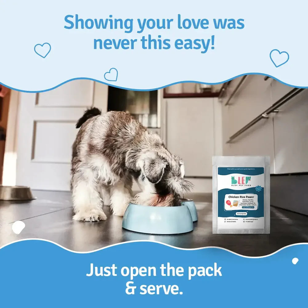 BLEP Chicken Rice Pawer Dog Wet Food (100g) image 2