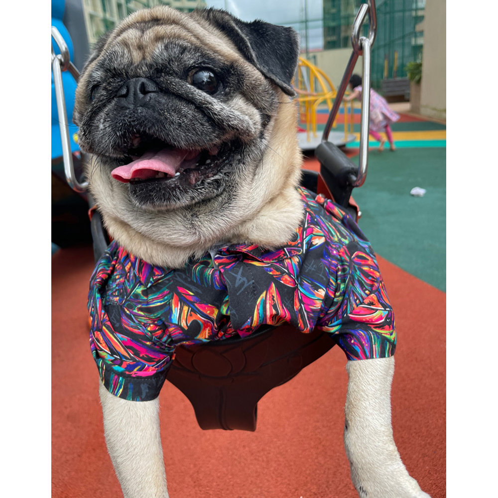 15buttons Neon Tropical Shirt for Dogs image 3