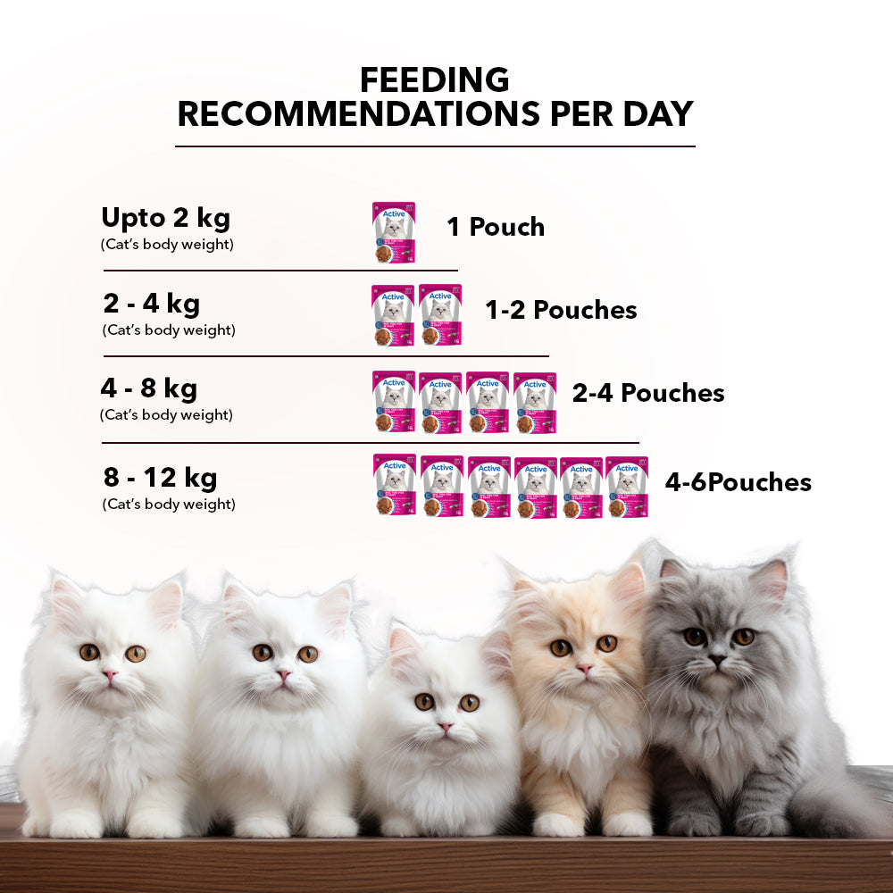 Active Real Tuna Fish in Gravy Adult Cat Wet Food ( Buy 1 Get 1 ) image 6