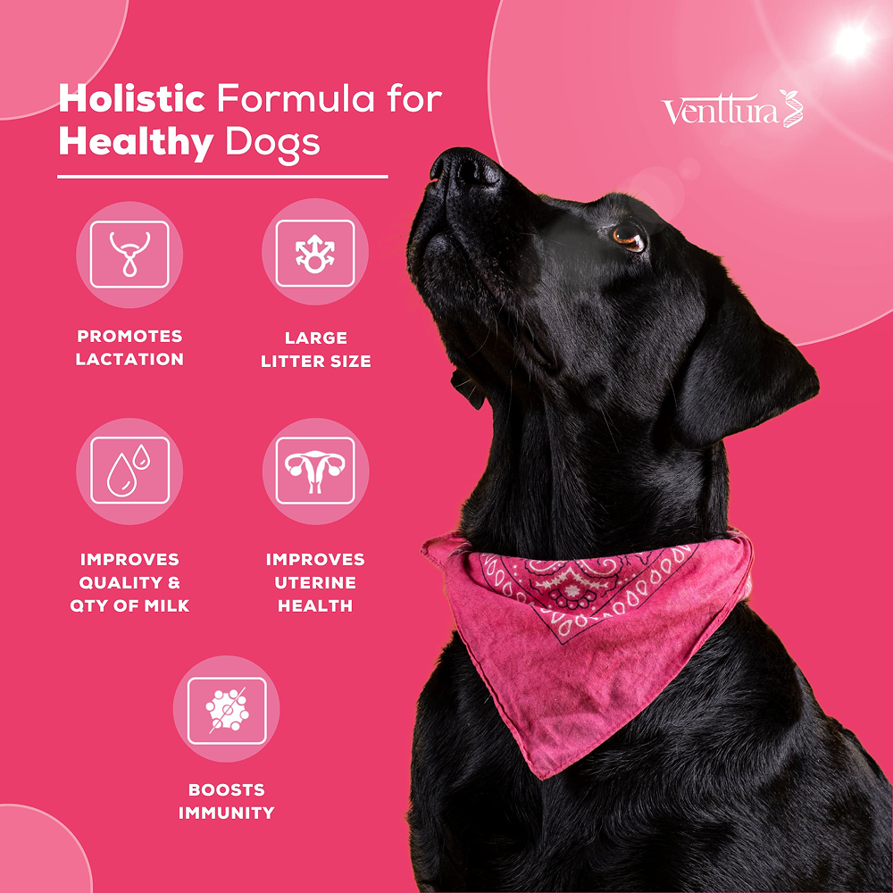 Venttura Lacto Plus Milk Boosters Chewable Tablets for Dogs image 7