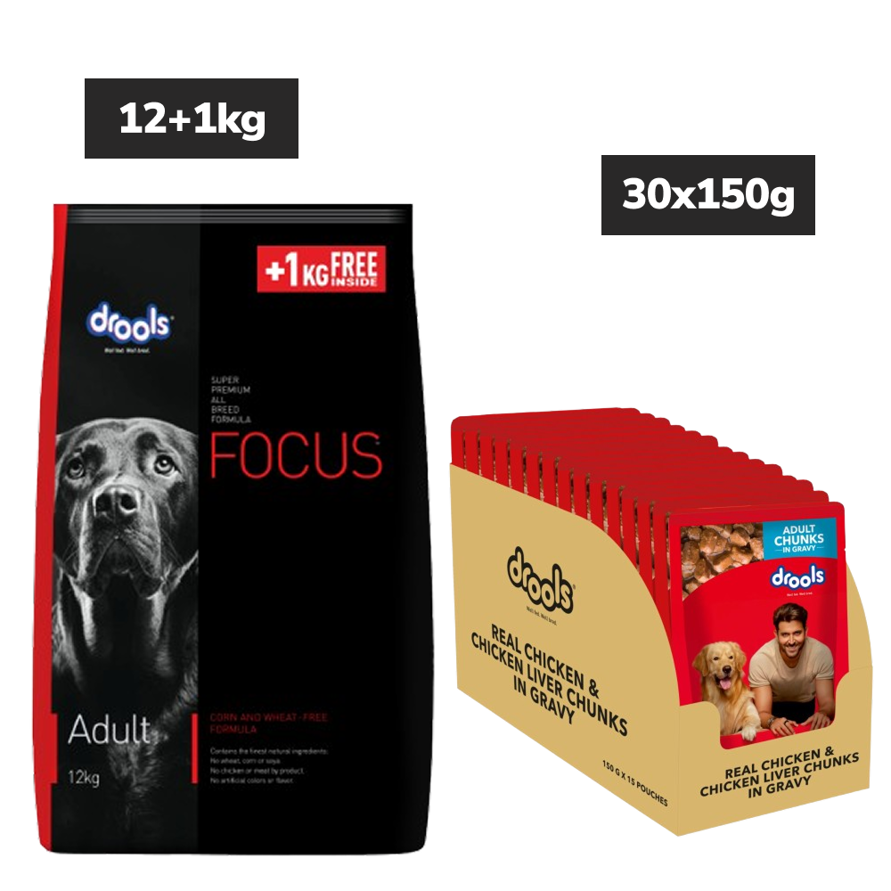 Drools Focus Super Premium Dry Food and Chicken & Liver Chunks in Gravy Adult Dog Wet Food Combo image 2