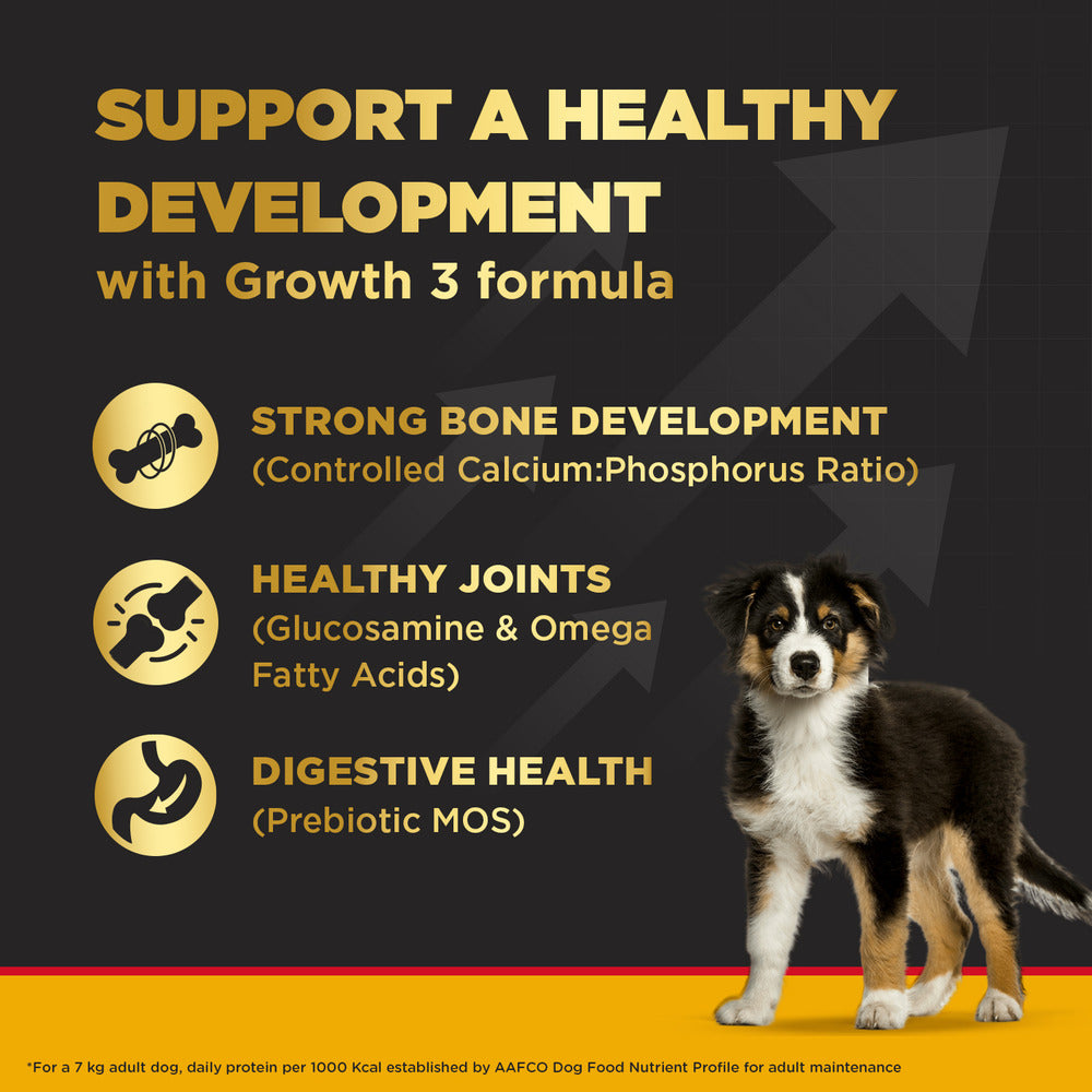 Pedigree PRO Expert Nutrition for Large Breed Puppy (3 to 18 Months) Dog Dry Food image 5