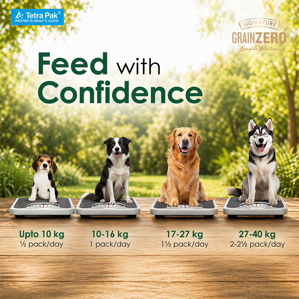 Signature Grain Zero Tetra Pack Real Chicken Veggies Dog Fresh Food image 9