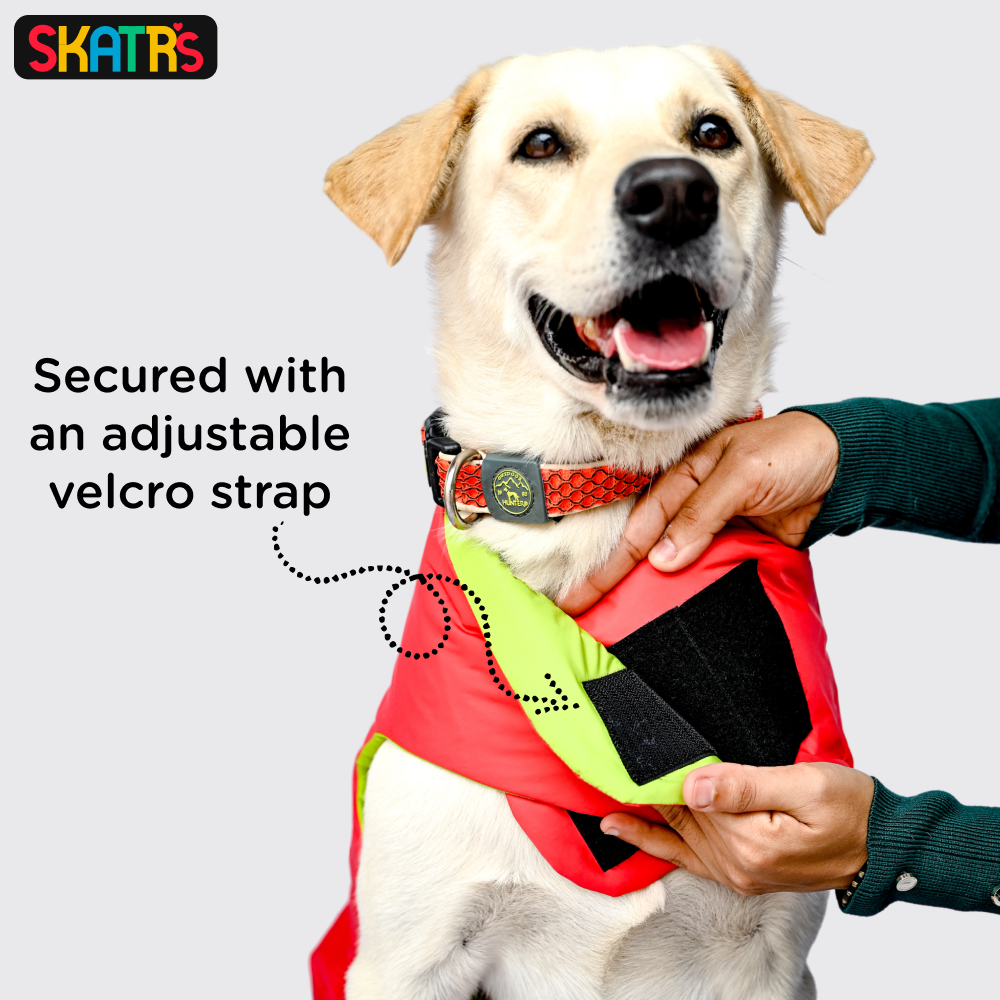 Skatrs Coral Red Puffer Reversible Jacket for Dogs and Cats | With Adjustable Baby Velcro image 6